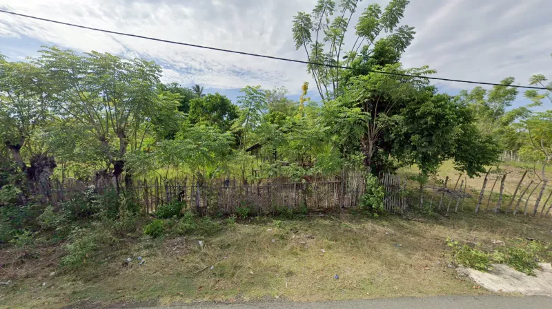 Mexican Style Fences