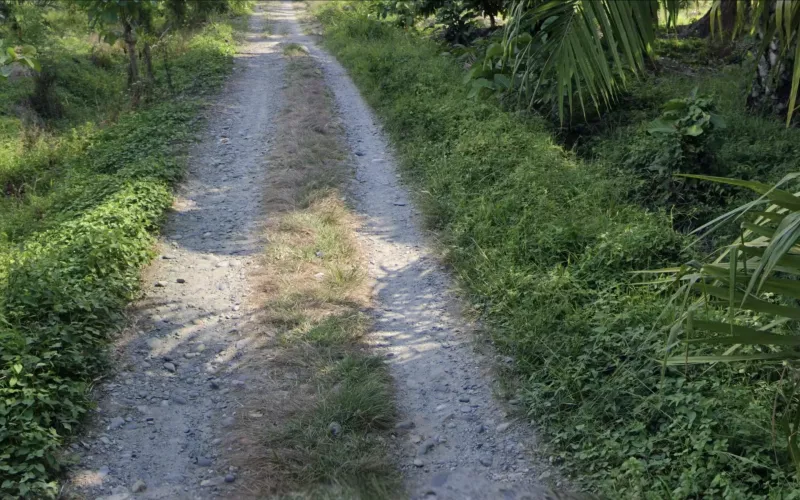 Luwu Grassy Pebblestone Roads